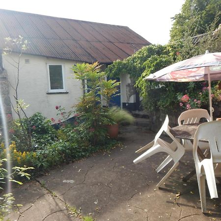 The Royal Oak Inn Dunsford 외부 사진