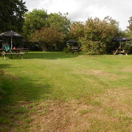 The Royal Oak Inn Dunsford 외부 사진